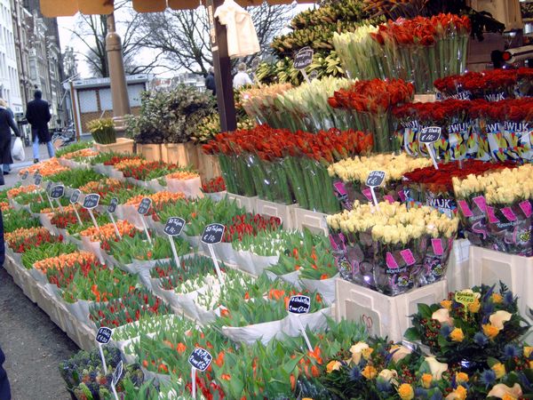 2005-01-04 - Asd - 35 - flowermarket